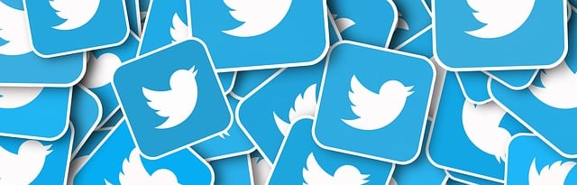 Estrategias Innovadoras para Amplificar tu Presencia en Twitter