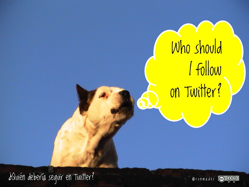 ¿A quién debería seguir en Twitter?